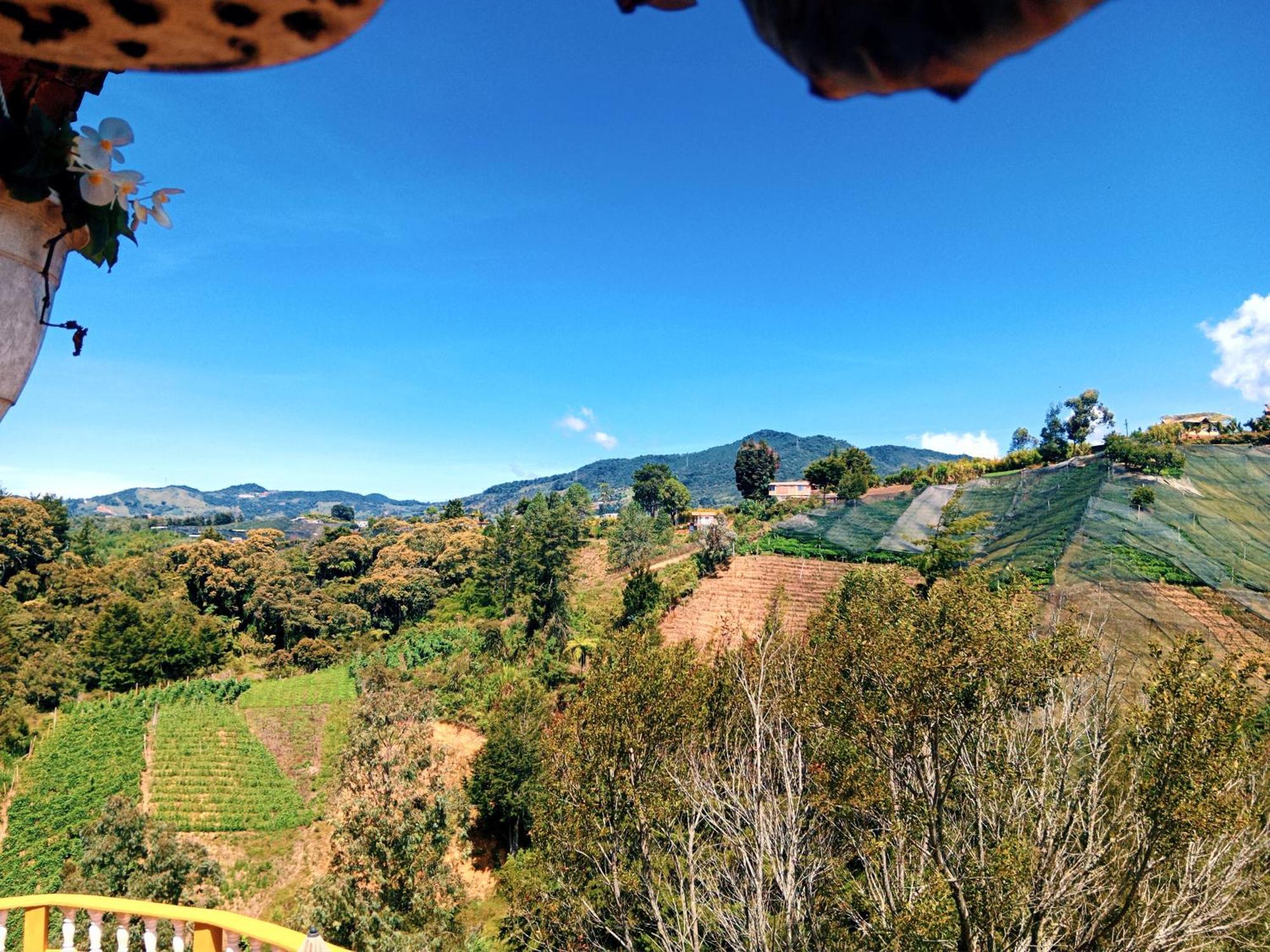 Vista Hermosa Eco Hostal Carmen de Viboral Exteriör bild
